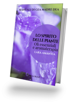 libro-lo-spirito-delle-piate