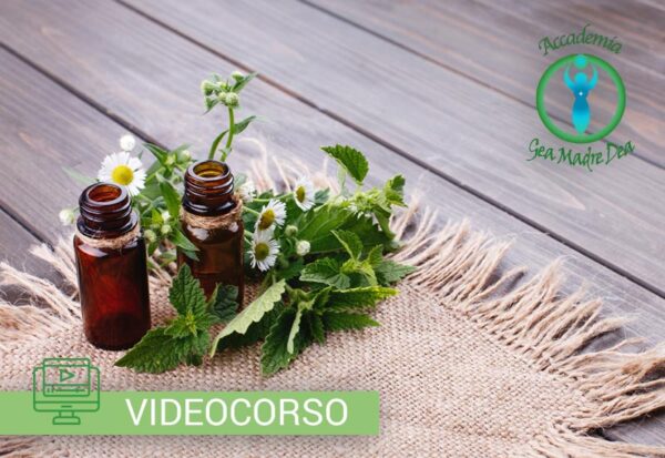 videocorso oli essenziali